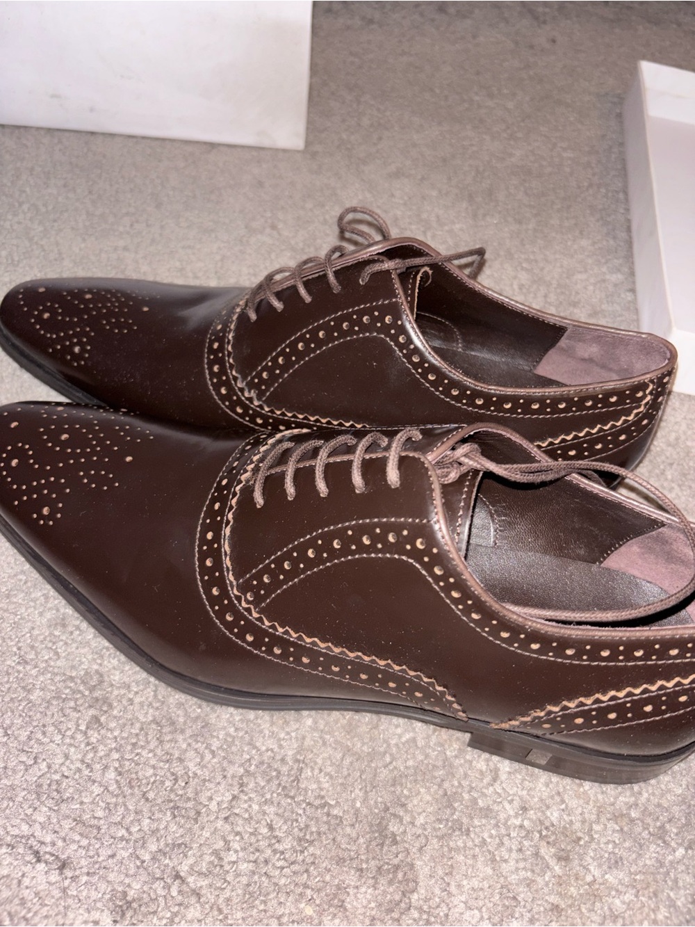 VERSACE COLLECTION Dark Brown Leather Brogue Oxfords (SIZE 9)
